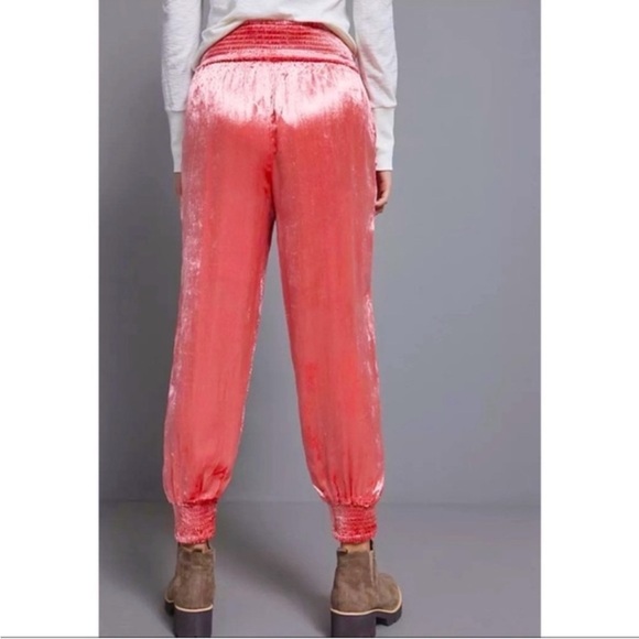 ANTHROPOLOGIE Rosie Bohemian Velvet Floral Embroidered Jogger in Pink - Picture 4 of 14